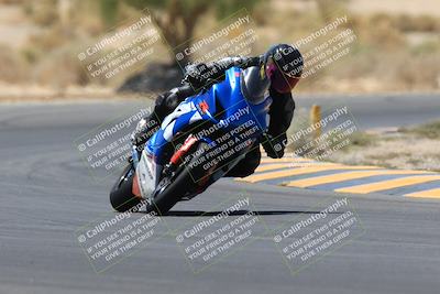 media/May-14-2023-SoCal Trackdays (Sun) [[024eb53b40]]/Turn 5 Tree of Life (1125am)/